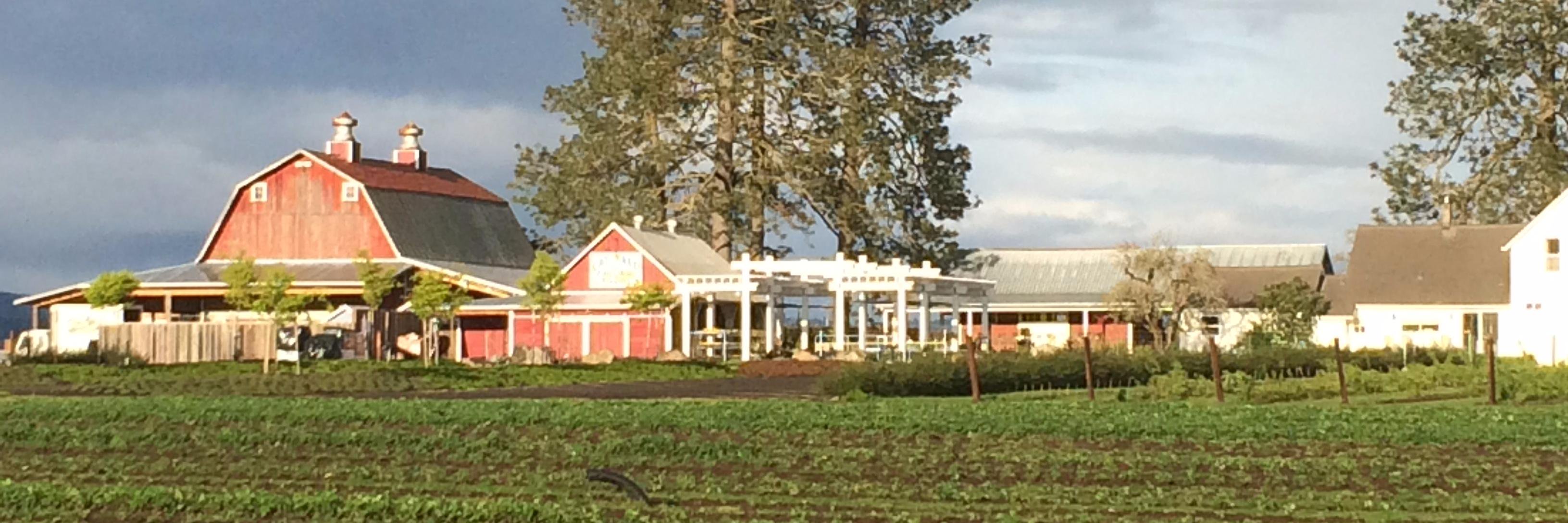 Blooming Junction Garden and Farmstore farm stand