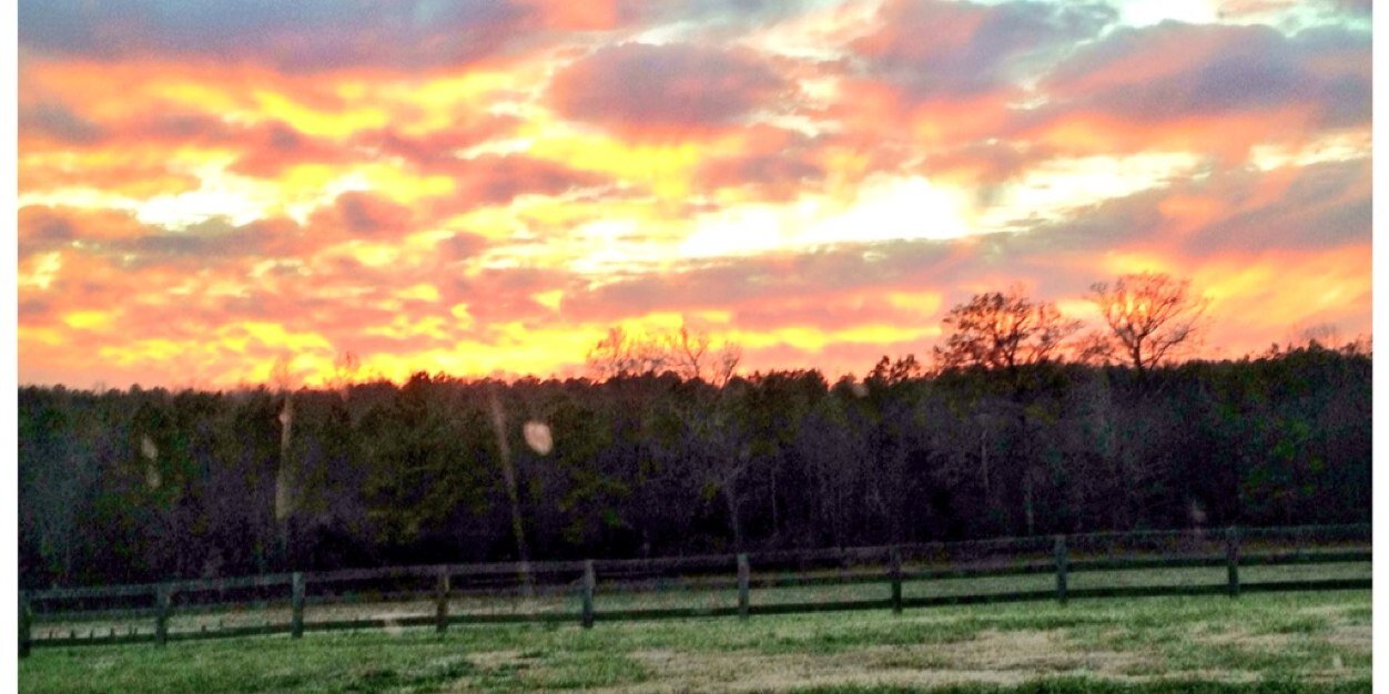 Keenbell Farm farm stand