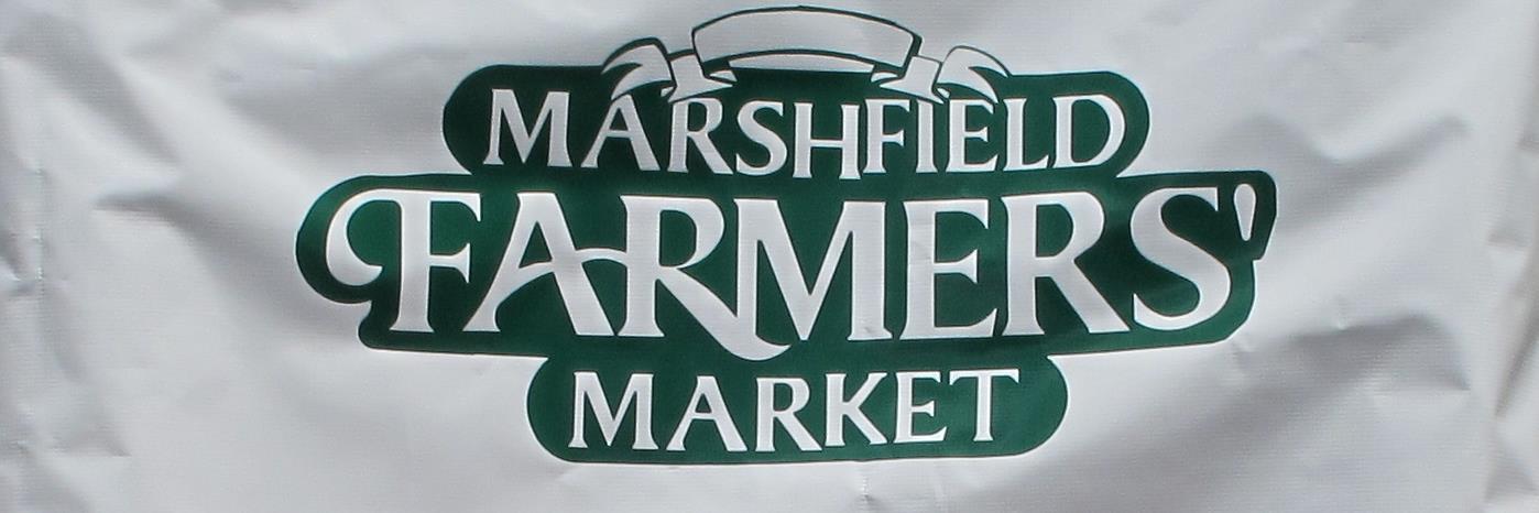 Marshfield Farmer's Market farmers market
