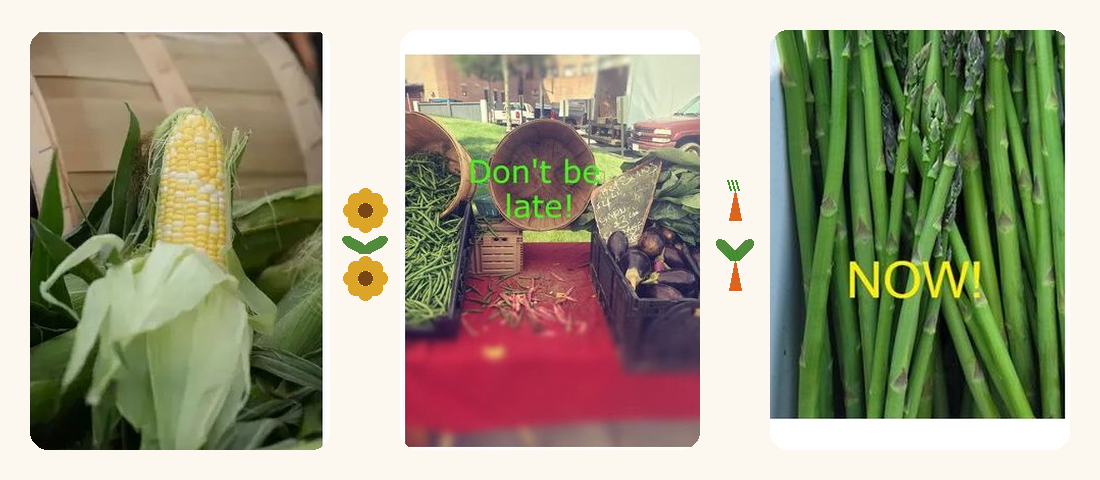 Brockton Farmers Market farmers market