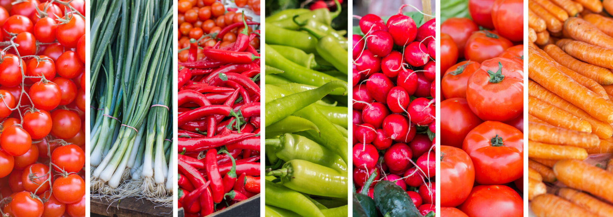 Menominee Historic Downtown Farmers Market  Association farmers market