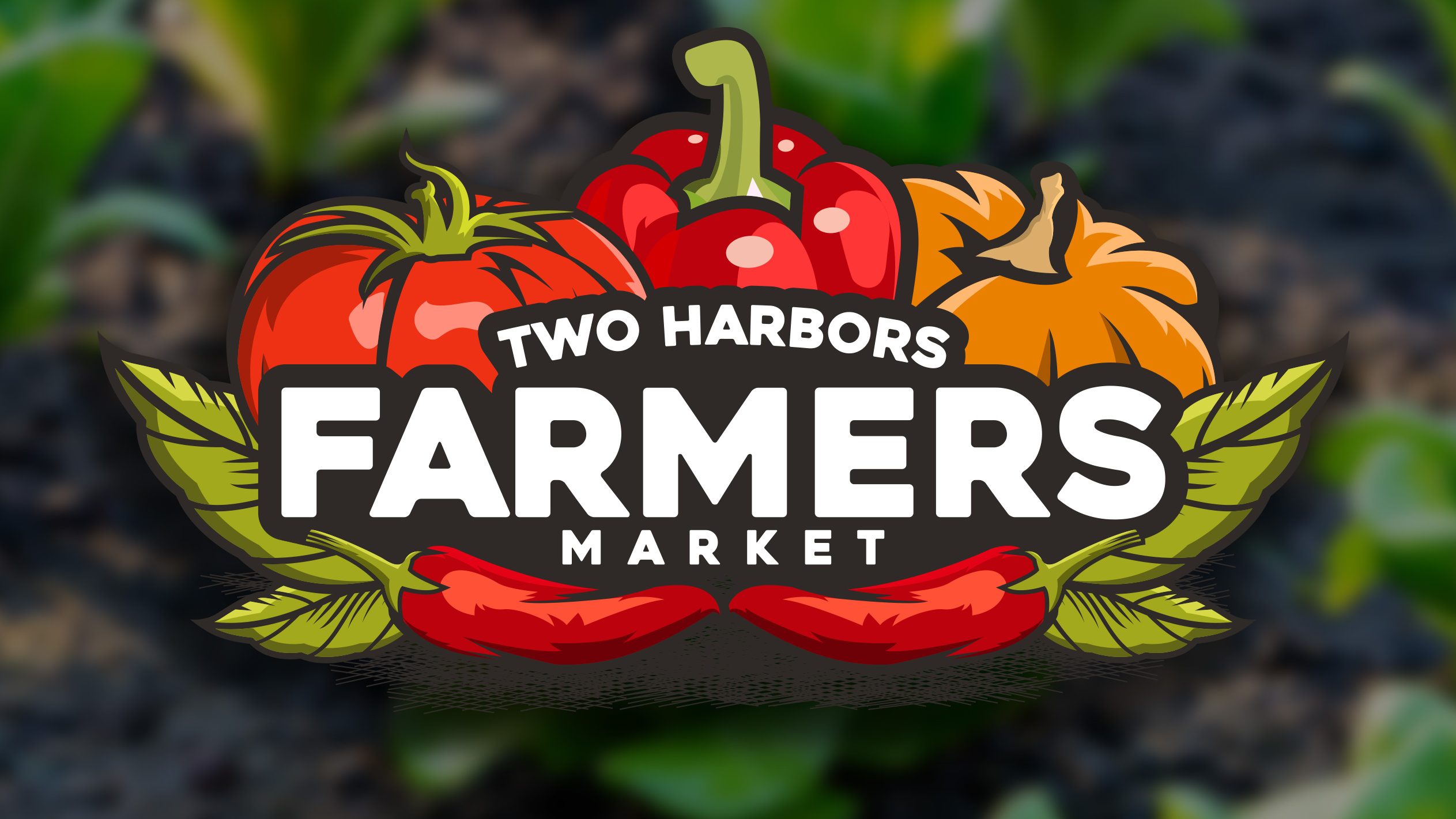Two Harbors Farmers' Market farmers market