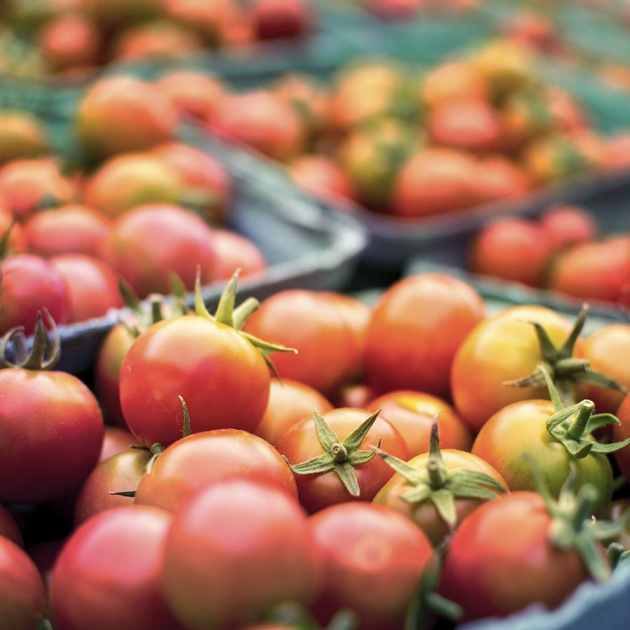 The Renville County Markent in Bird Island - Winter farmers market