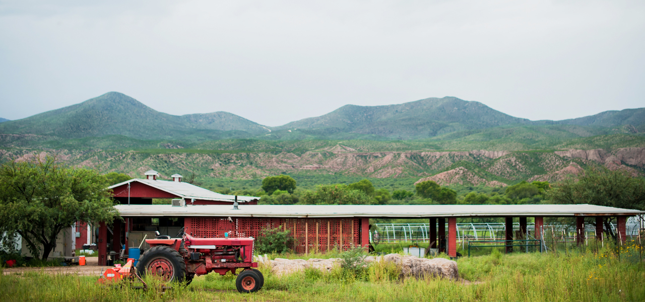 Heirloom Farmers Market - Oro Valley (Steam Pump Ranch) farmers market