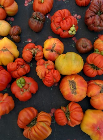 Mission Bay Farmers' Market farmers market