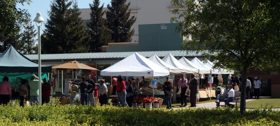 Va Palo Alto Farmers Market farmers market