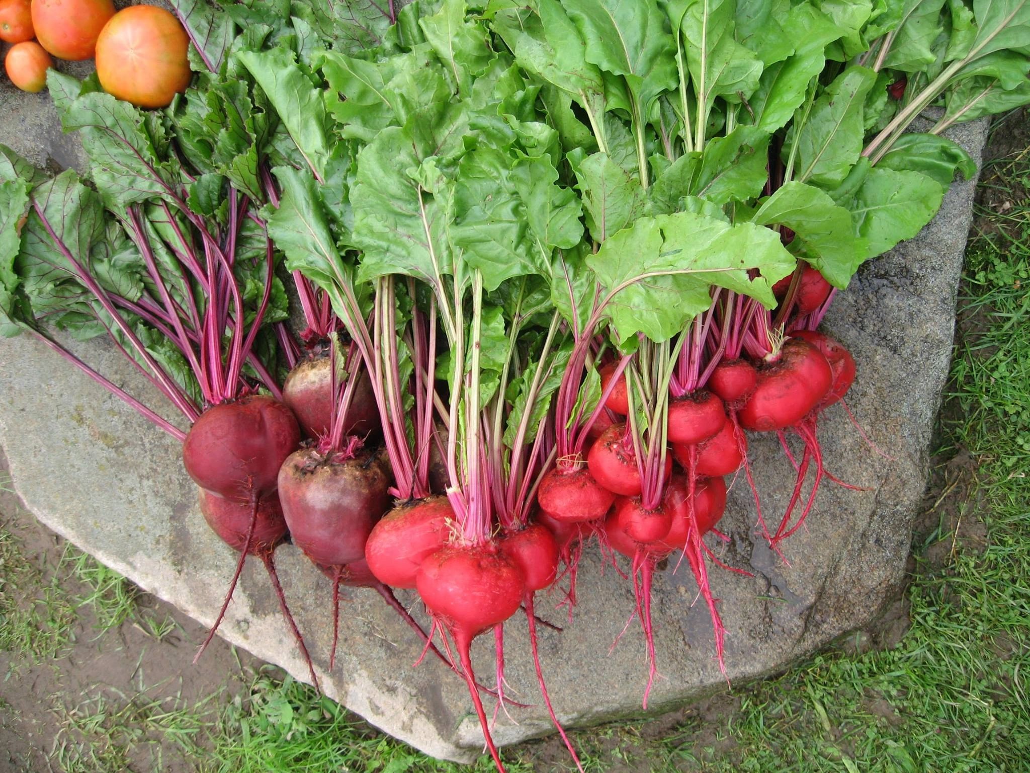 Goshen Farmers' Market farmers market