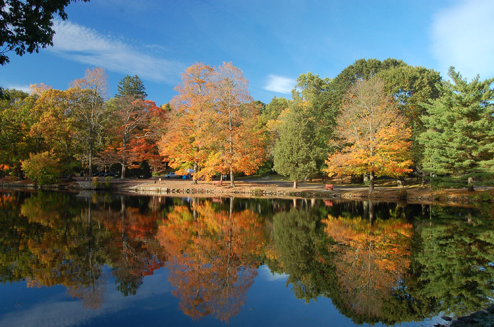 Stamford Museum & Nature Center - Friday Farm Market farmers market