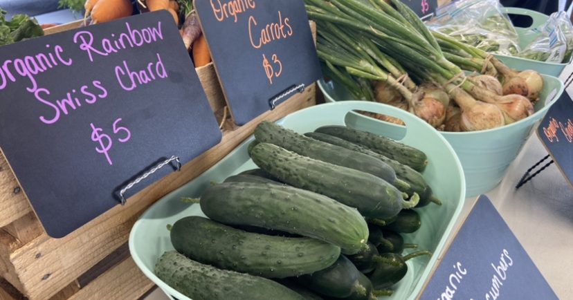 Amicalola Regional Farmers Market farmers market