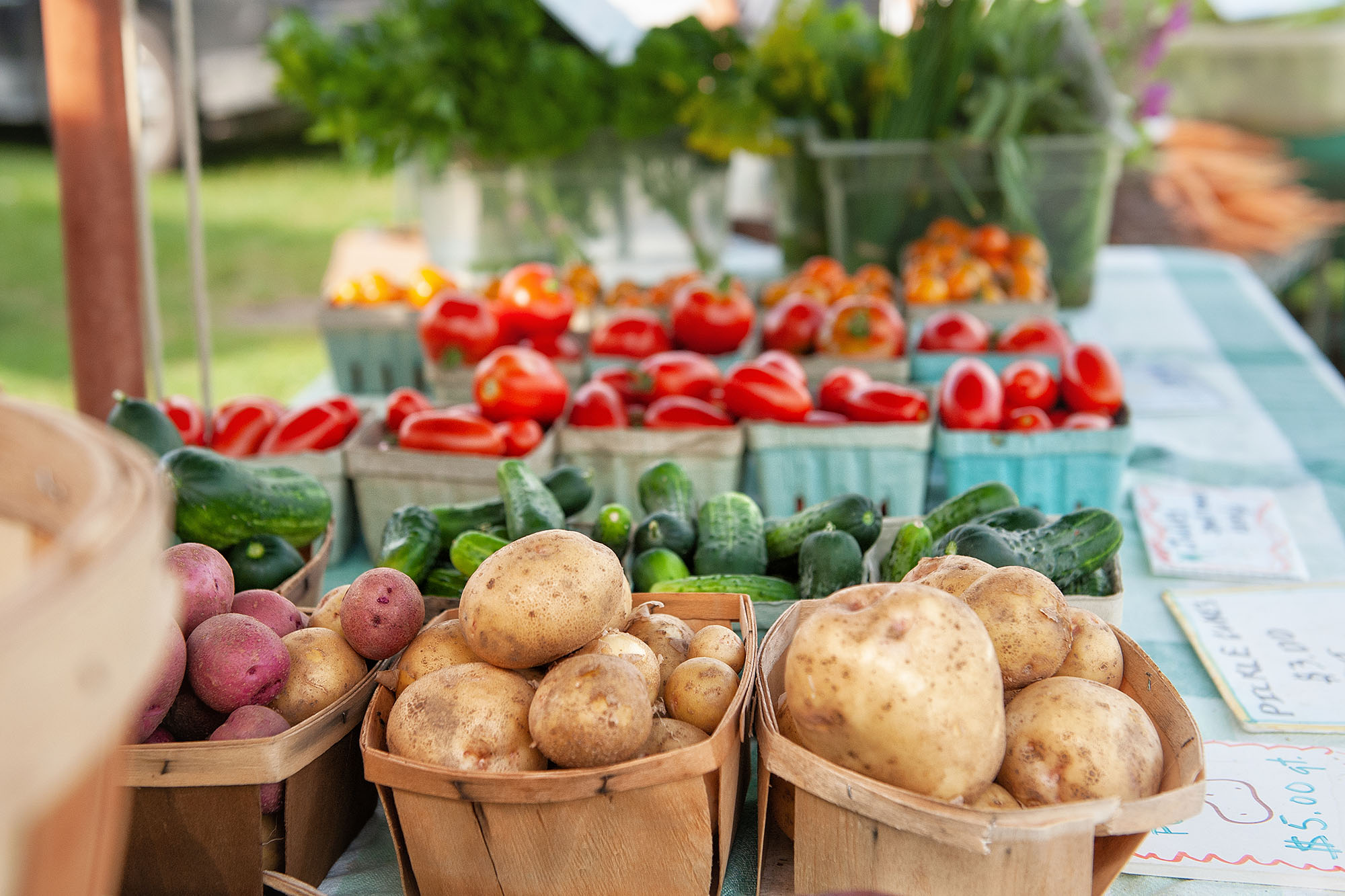 Boyne City Farmers Market farmers market