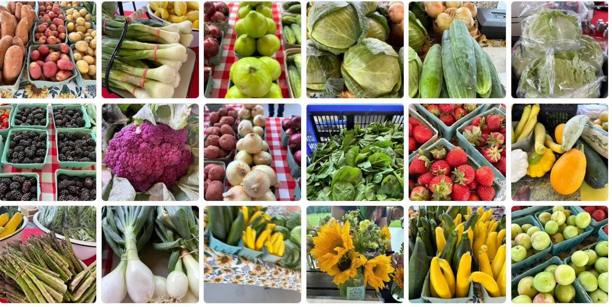 Bartlett Station Farmers Market farmers market
