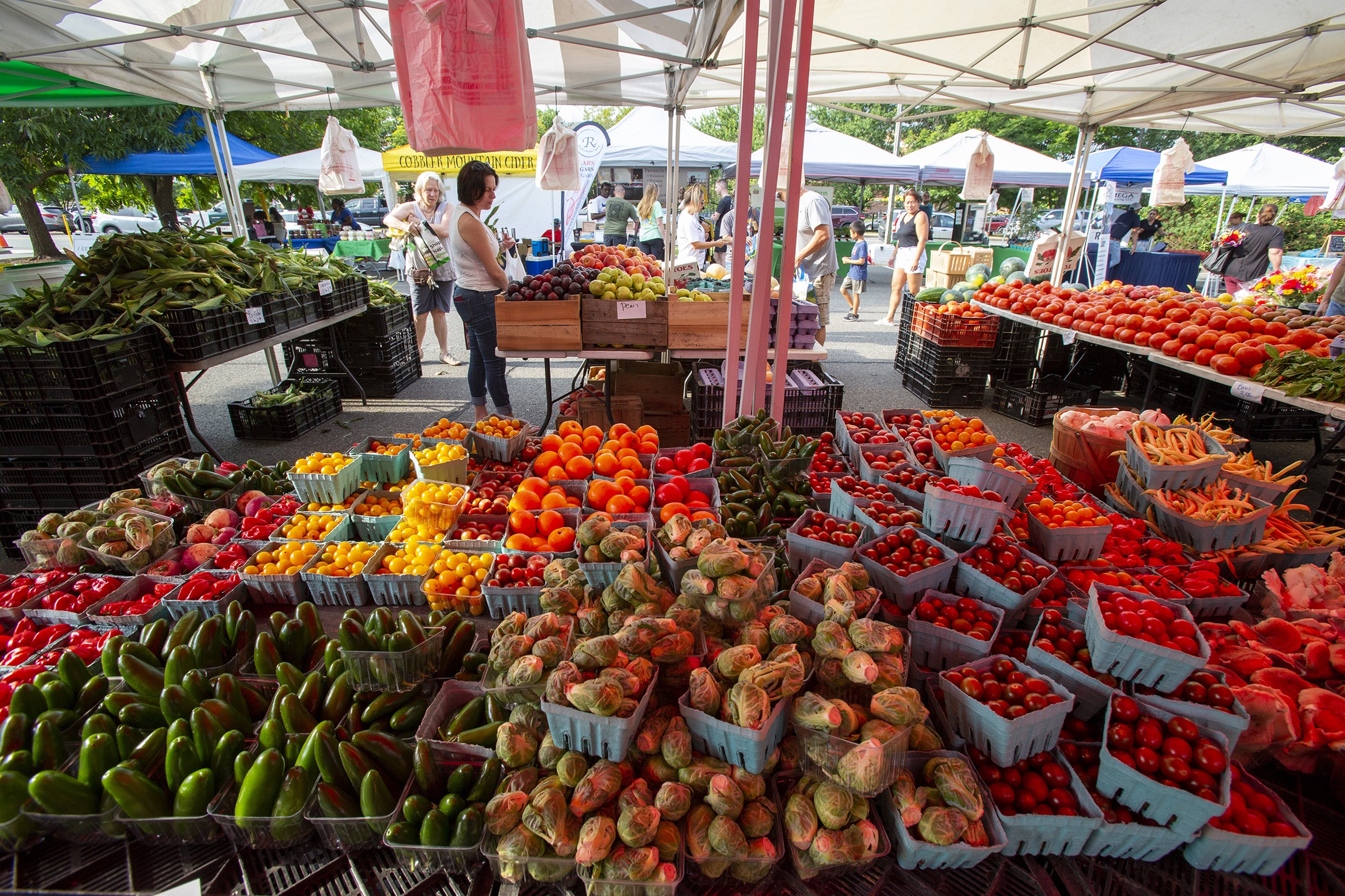 City of Manassas Farmers Market farmers market