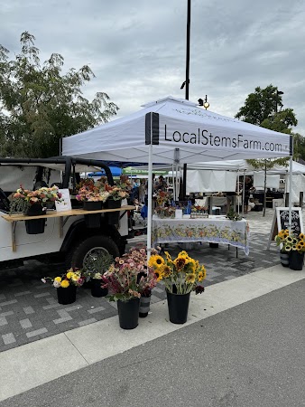 Westfield Farmers Market farmers market